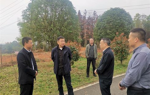 李三葆到草坪镇和红云街道督导春耕生产、文明创建等工作
