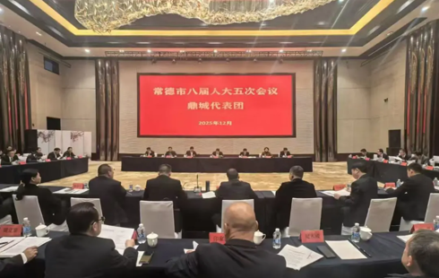 履职为民献良策 凝心聚力谋发展——常德市八届人大五次会议鼎城代表团积极建言献策